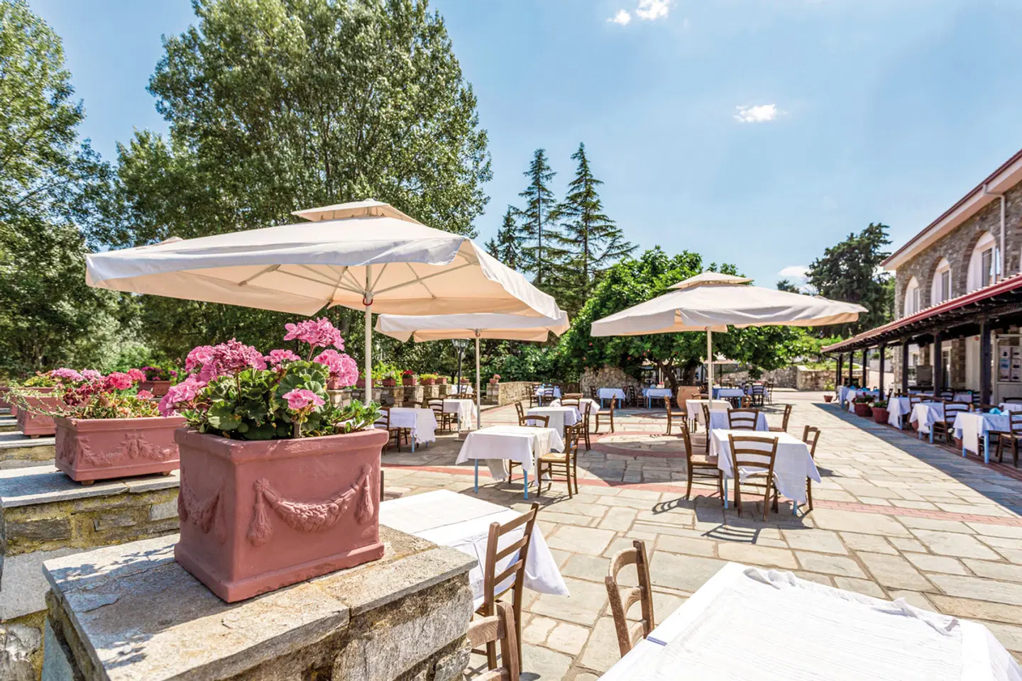 Canvas by Mitsis Alexander the Great Beach Terrasse