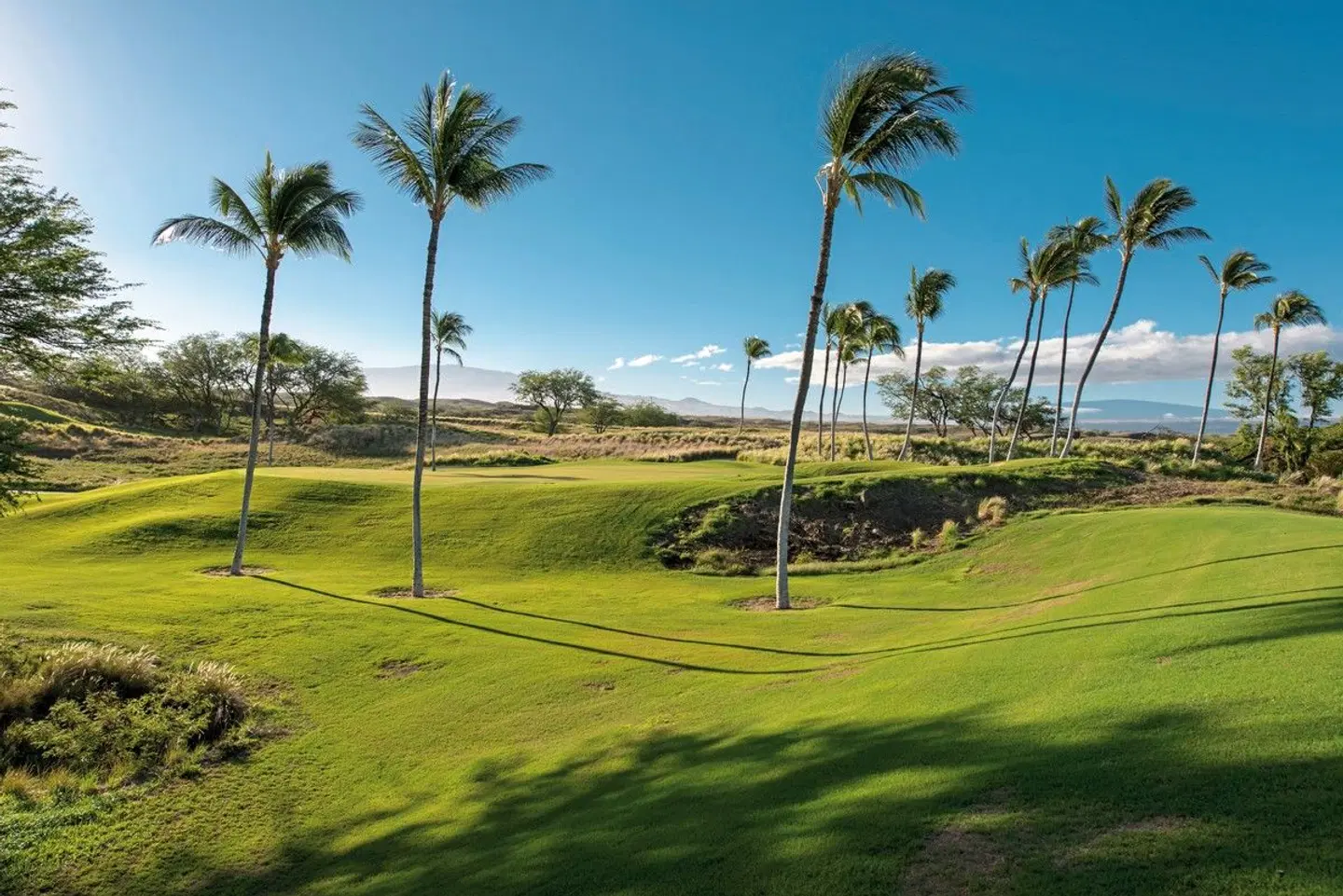 The Westin Hapuna Beach Resort SPORTS_AND_LEISURE