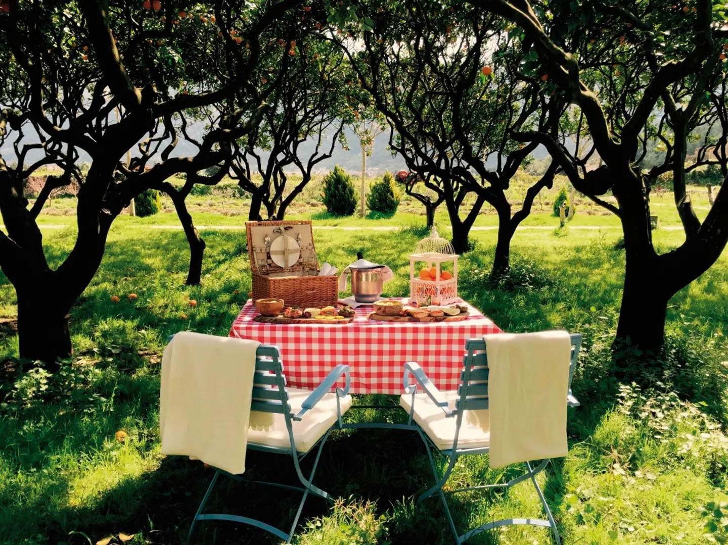 Finca Ca N'Ai Bio Retreat Garten