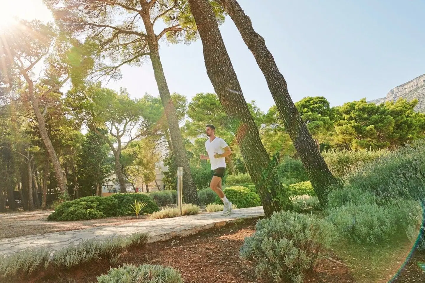 Bluesun Hotel Borak LANDSCAPE