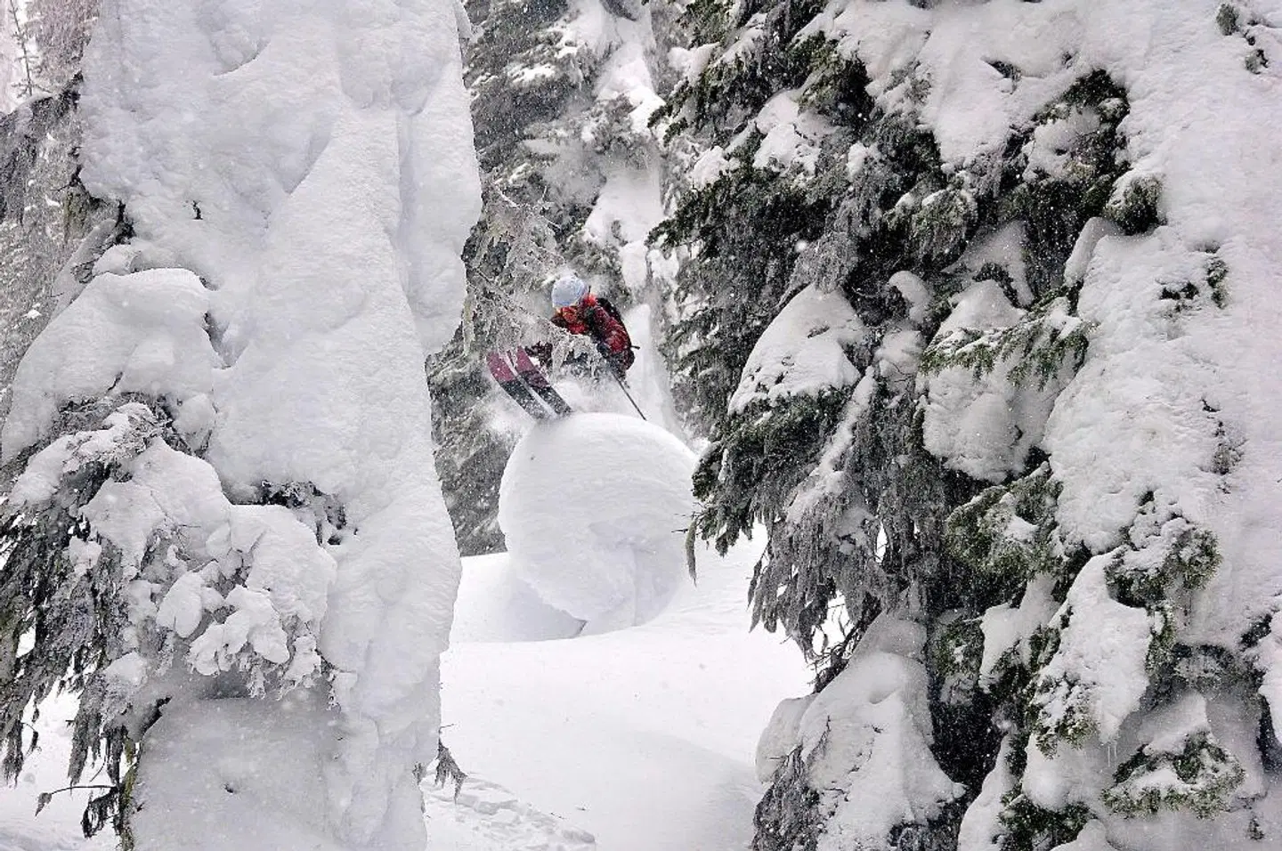 The Josie Hotel, Autograph Collection LANDSCAPE