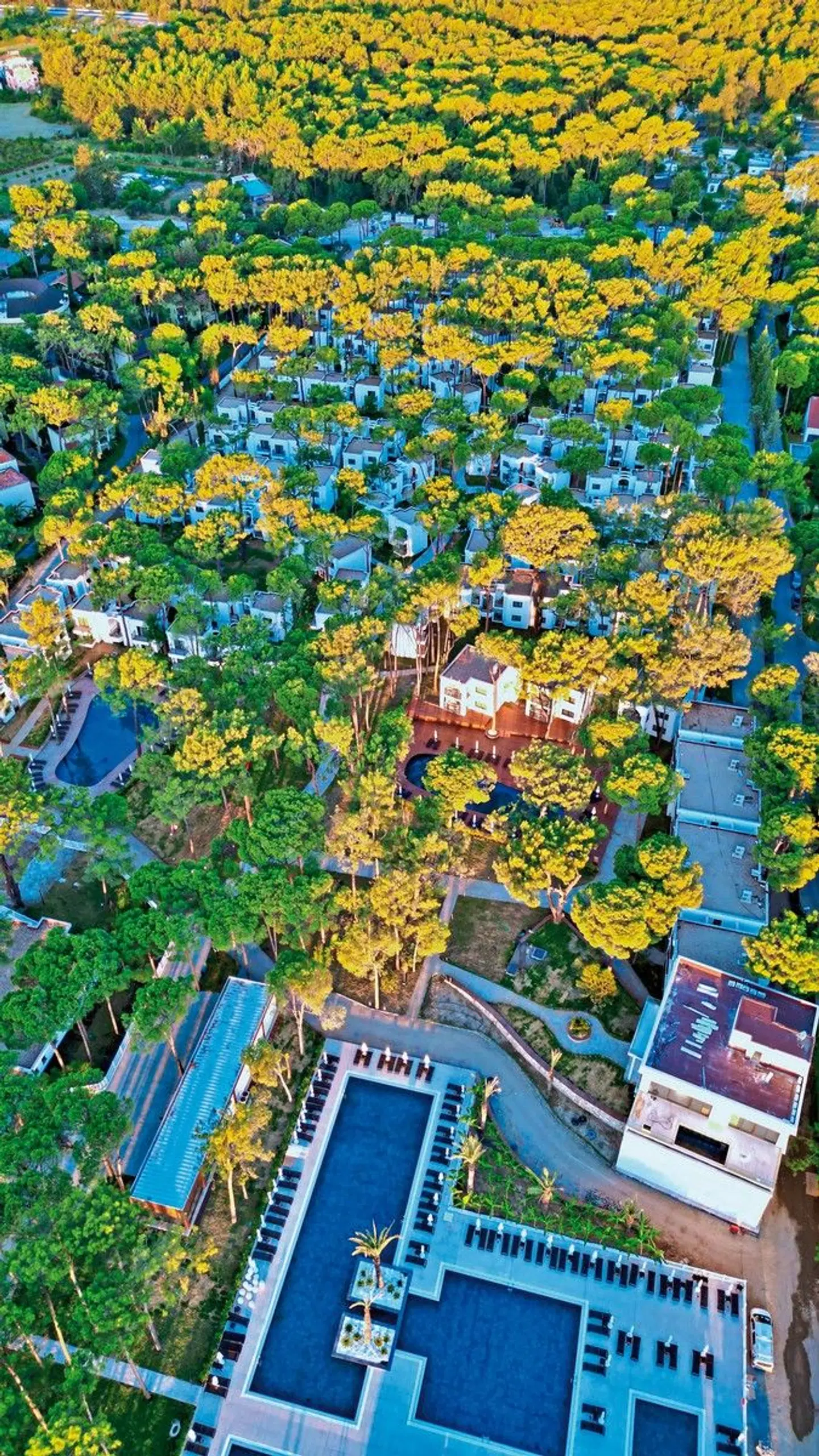 Siu Collection Garten