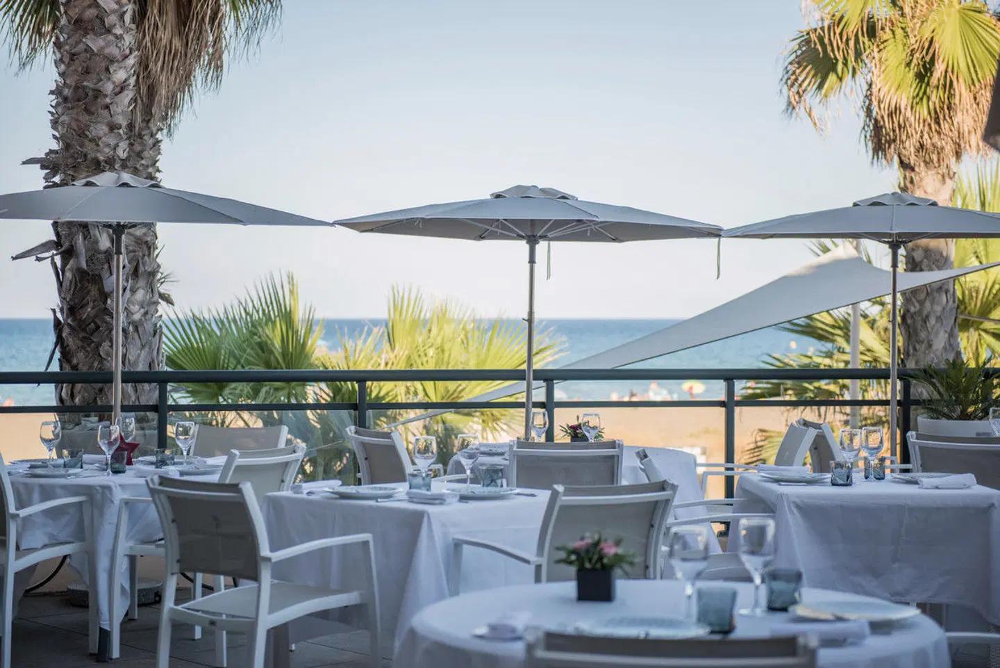 Les Flamants Roses Terrasse