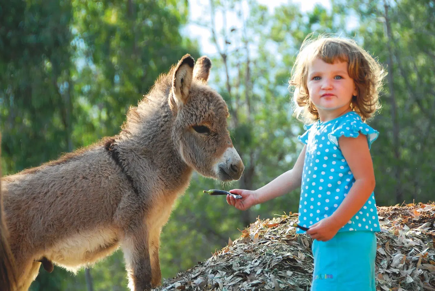 Arbatax Park Resort - Borgo Cala Moresca Tiere