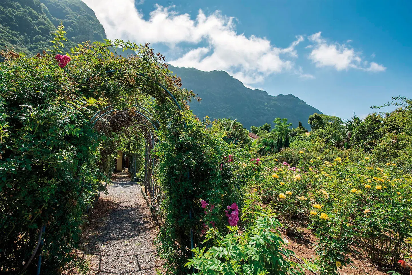 Pestana Quinta do Arco & Rose Garden Hotel LANDSCAPE