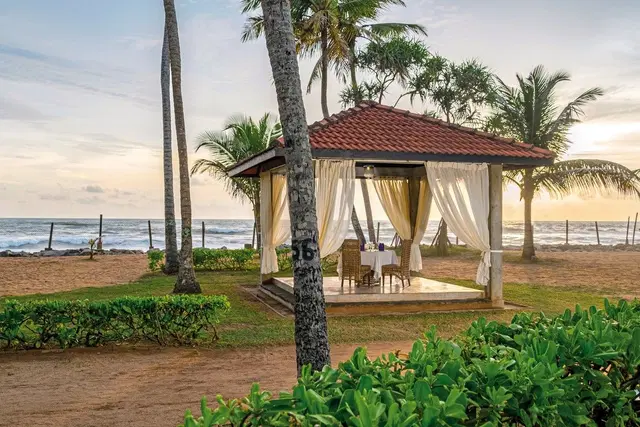 Royal Palms Beach Hotel GARDEN