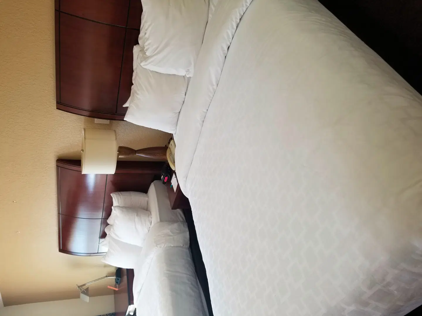 Clarion Clearwater HEALTH_BEAUTY