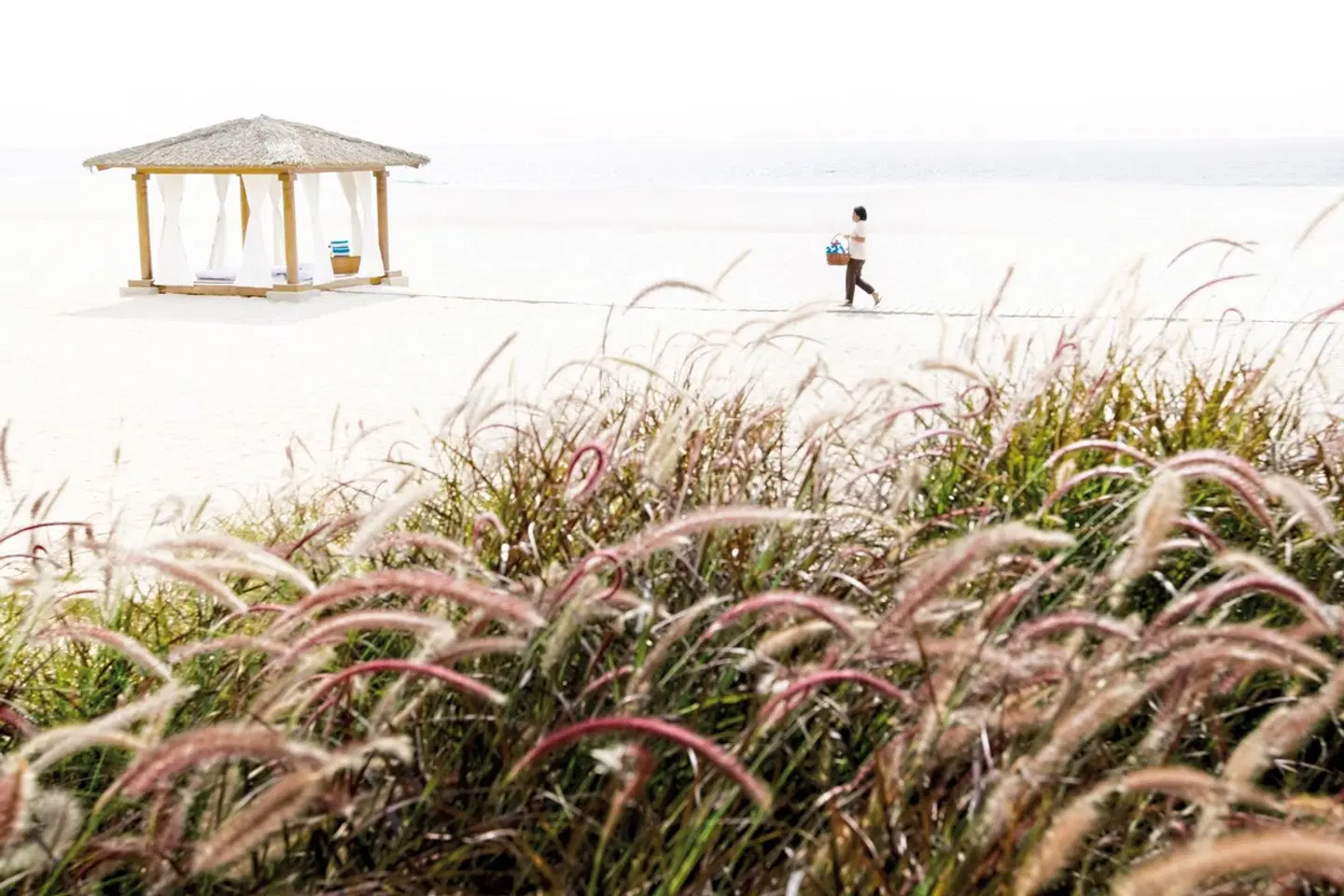 Hilton Salalah Resort LANDSCAPE