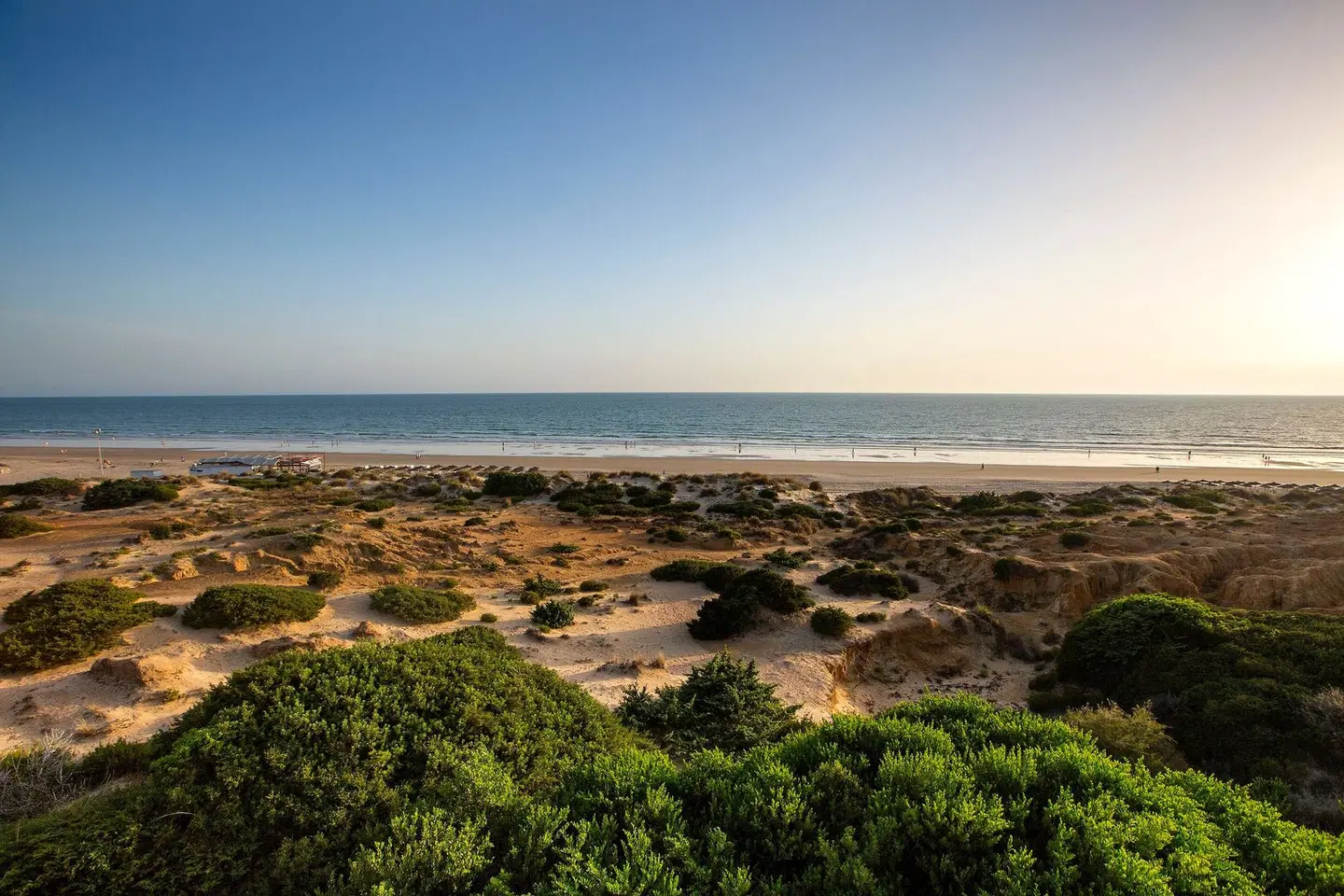 Hipotels Barrosa Palace LANDSCAPE