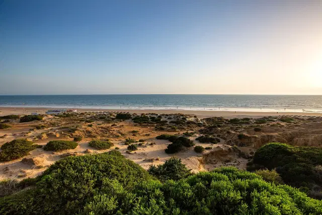 Hipotels Barrosa Palace LANDSCAPE