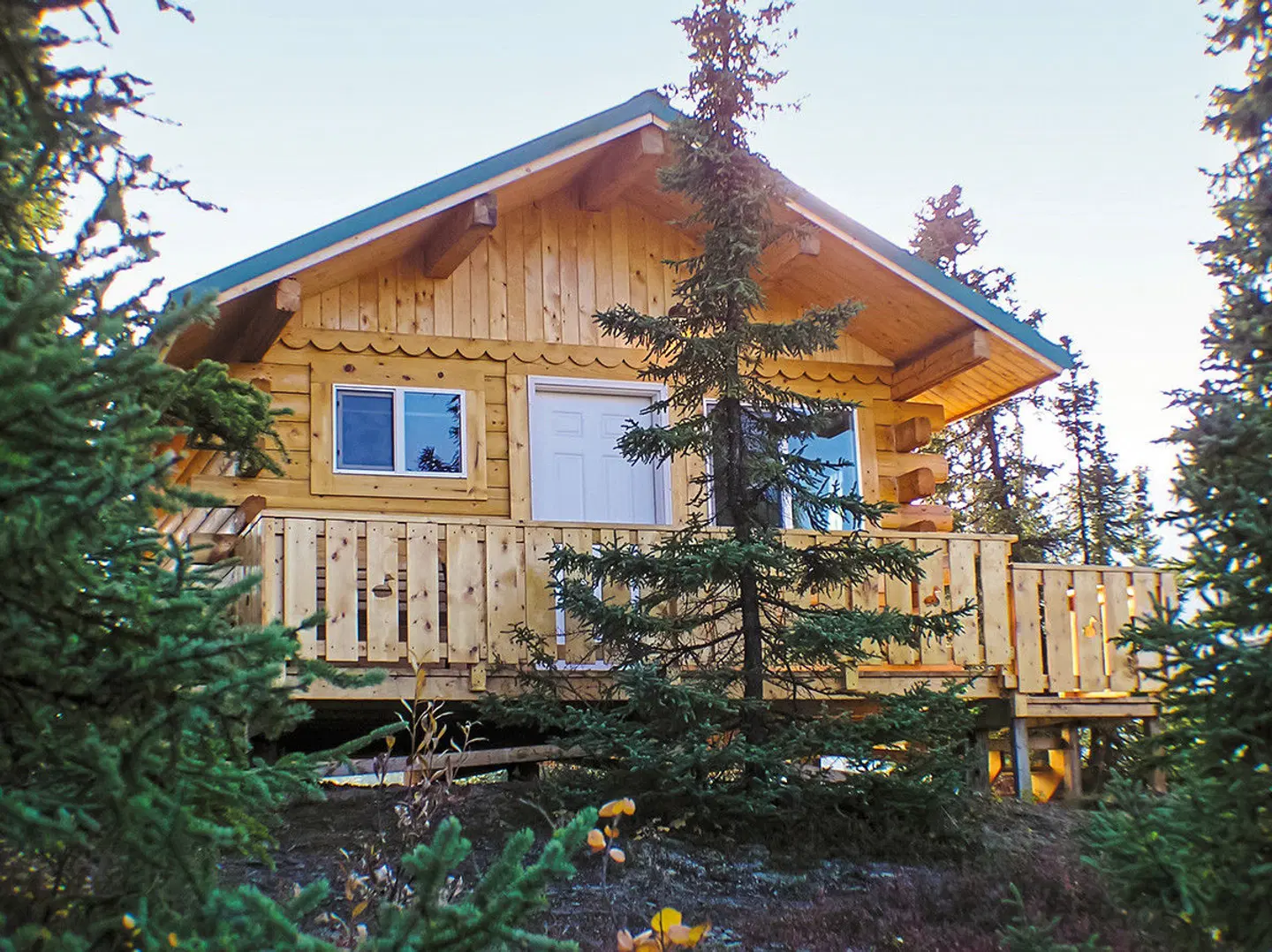 Denali Grizzly Bear Resort EXTERIOR