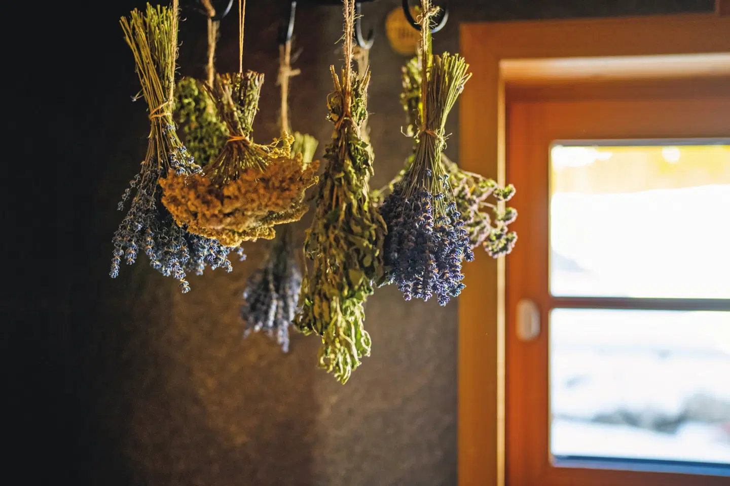 Waldhotel am Notschreipass LOUNGE_LOBBY