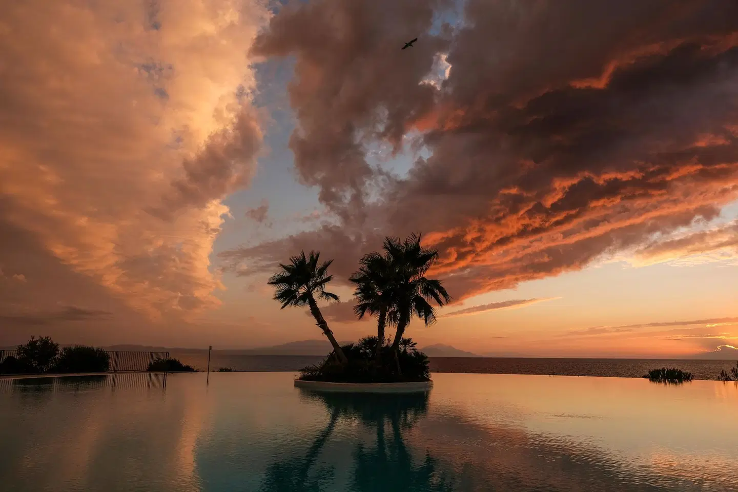 Club Marvy LANDSCAPE