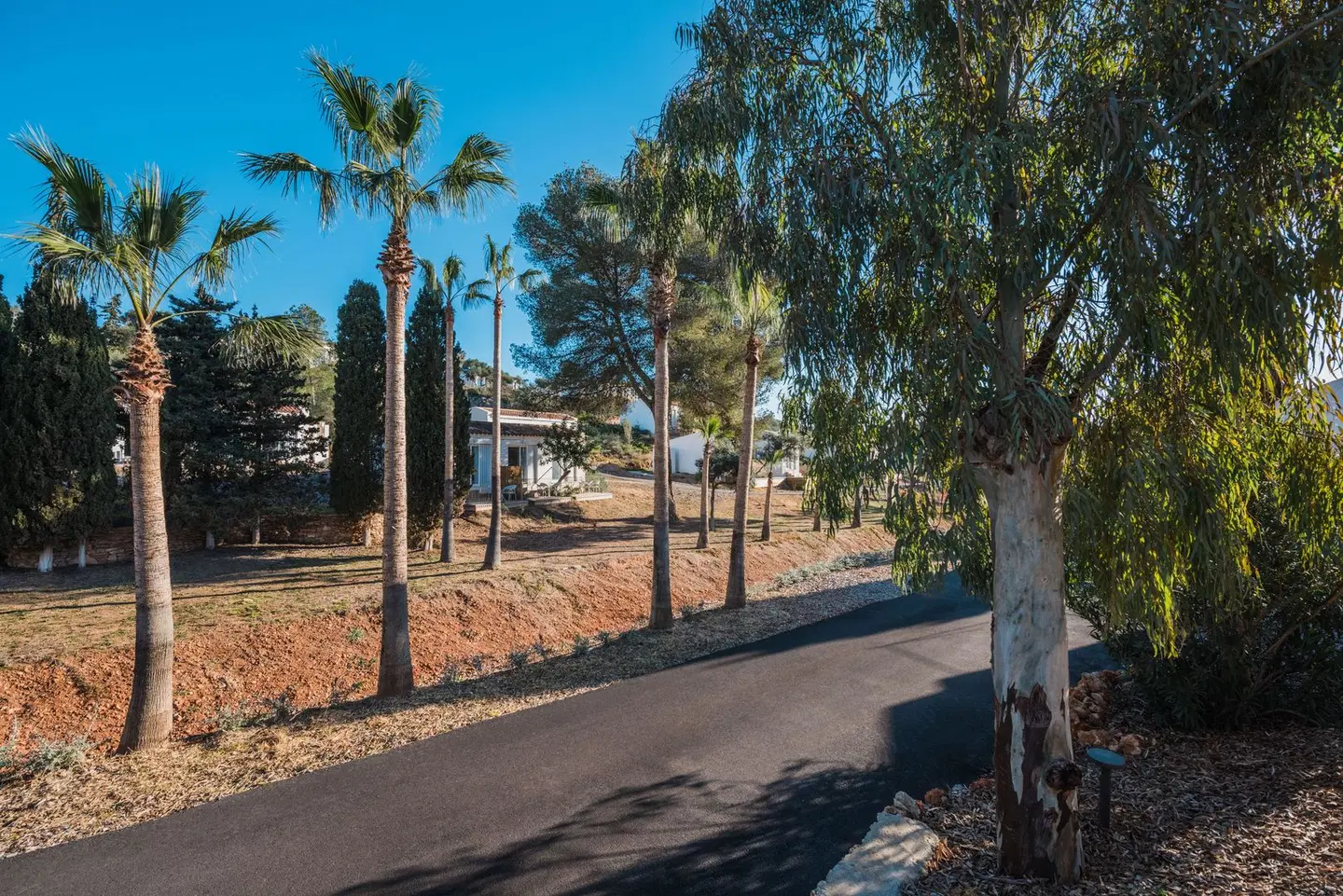 Iberostar Waves Cala Domingos ROOM_EXAMPLE