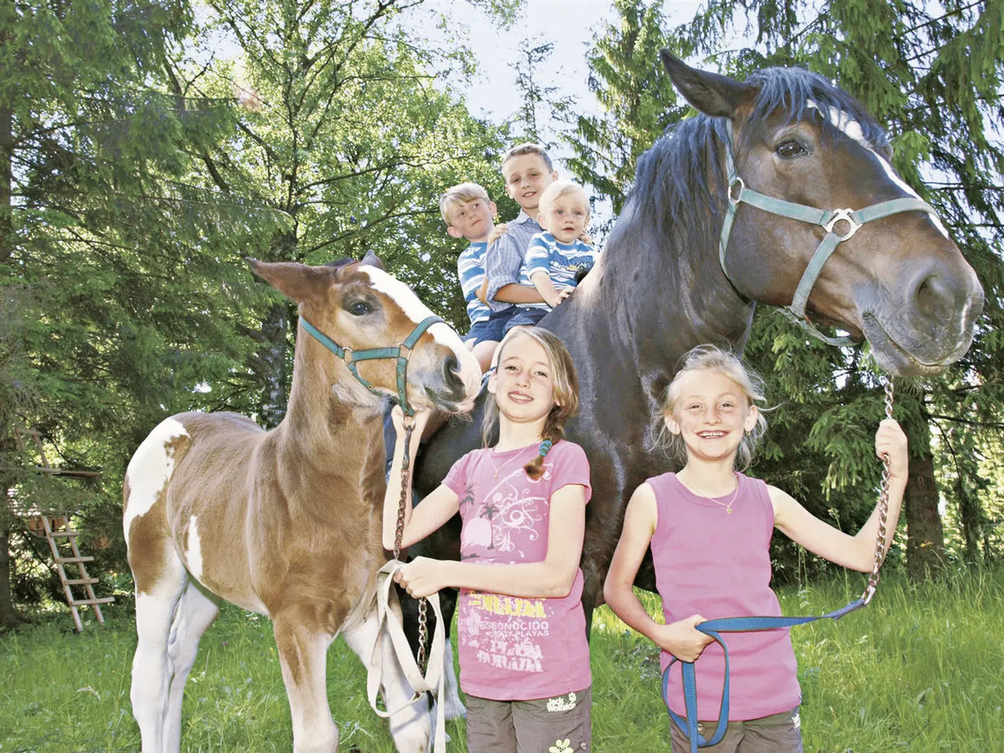 Gästehaus Kohlerhof Tiere