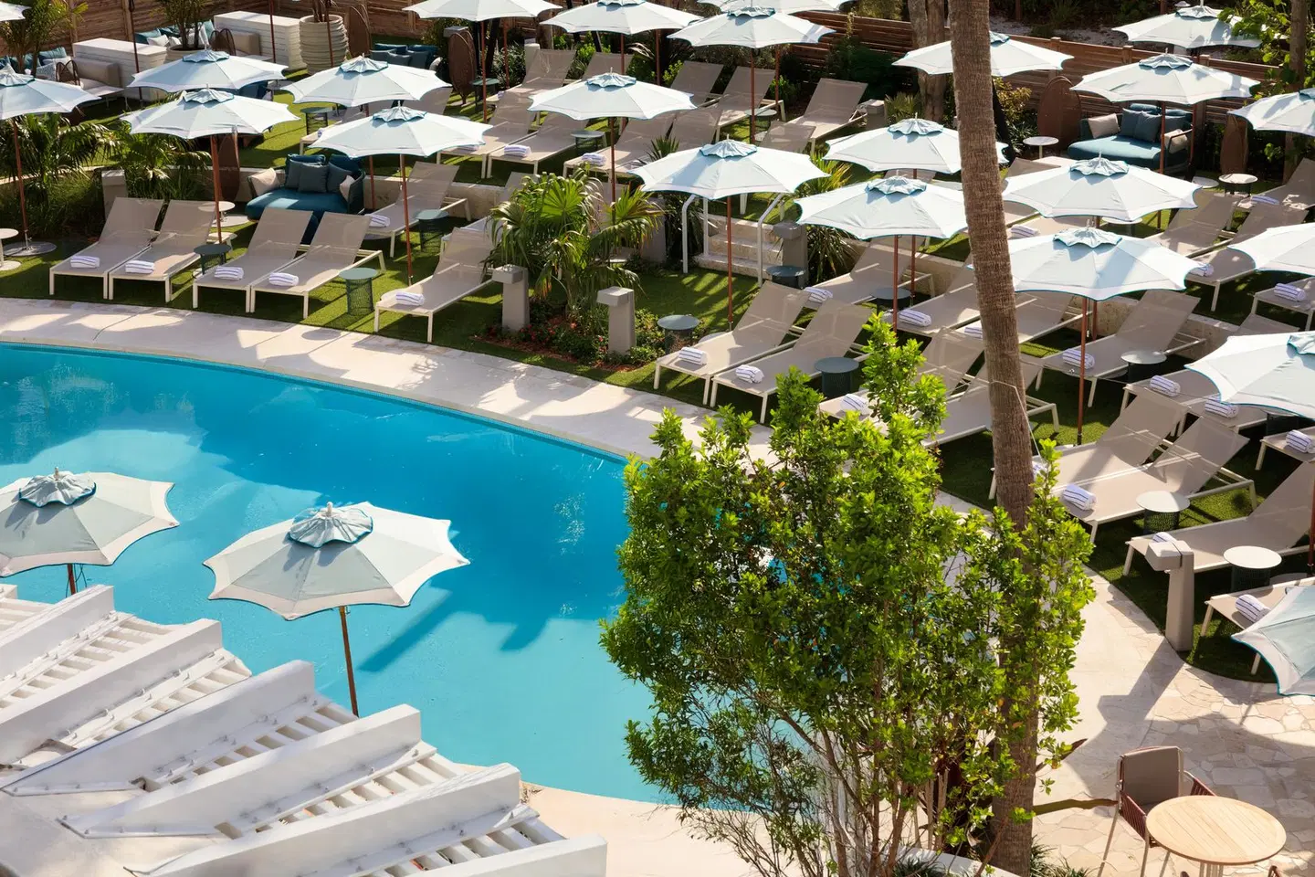 The Confidante Miami Beach OUTDOOR_POOL