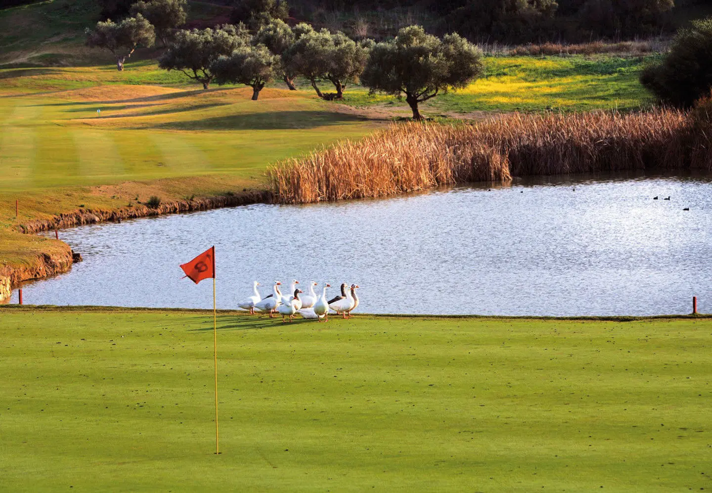 Barceló Montecastillo Golf SPORTS_AND_LEISURE