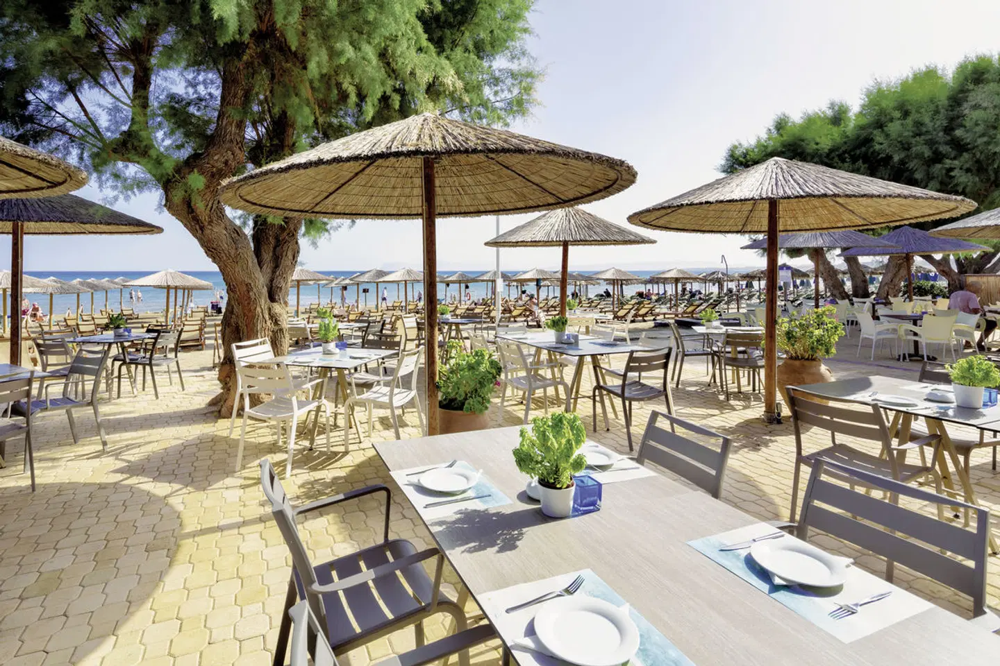 Atlantica Amalthia Beach Hotel Terrasse