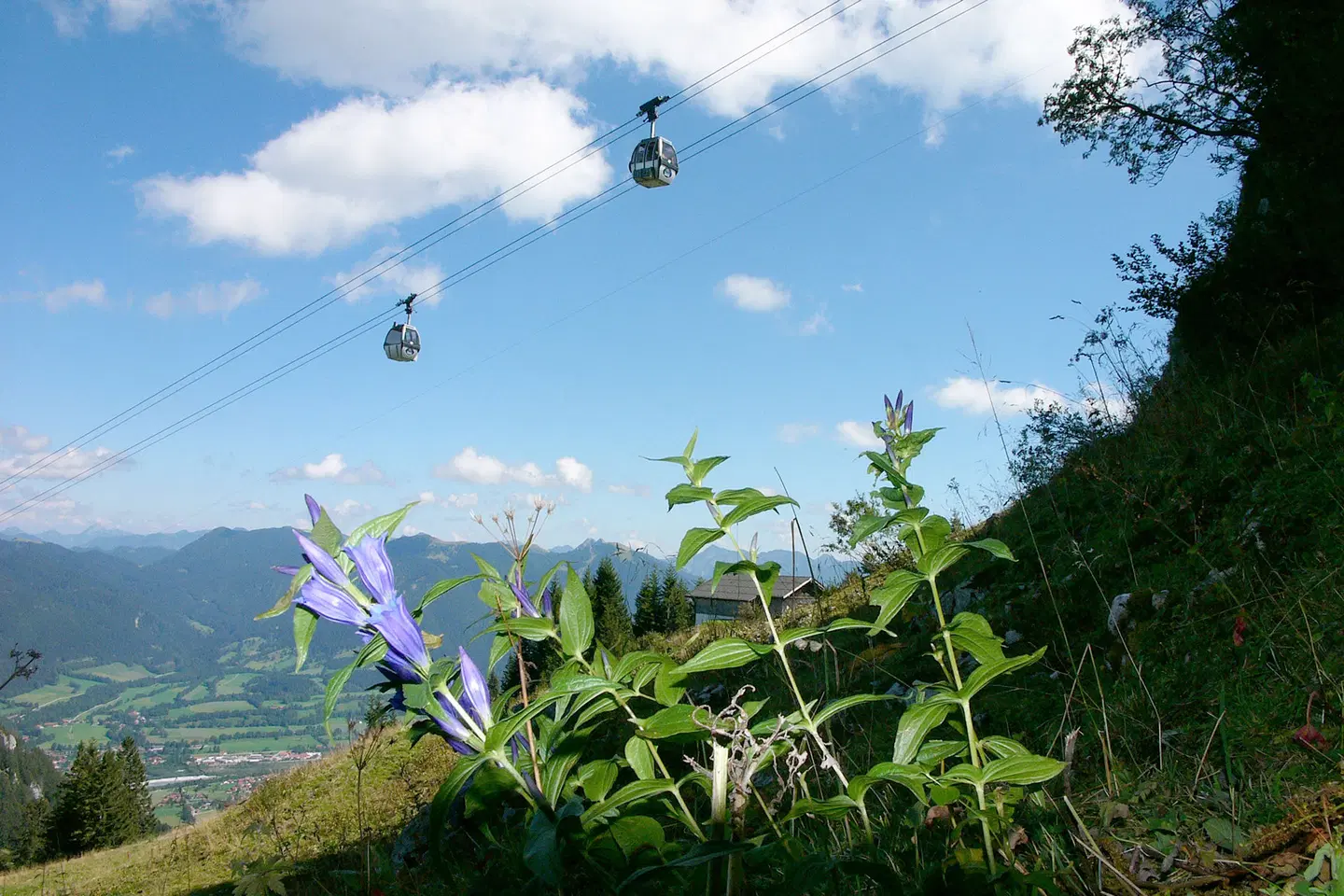 Arabella Brauneck Hotel LANDSCAPE