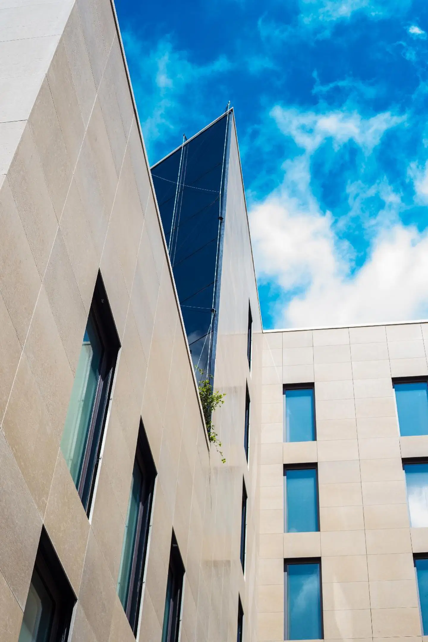 Ocean Drive Barcelona Terrasse