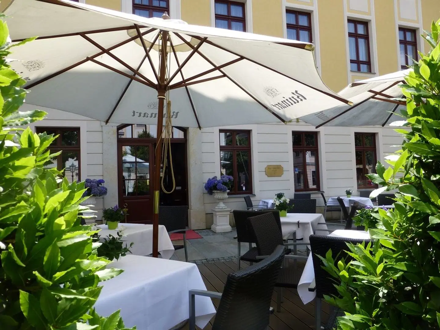 Relais & Châteaux Hotel Bülow Palais Dresden Terrasse
