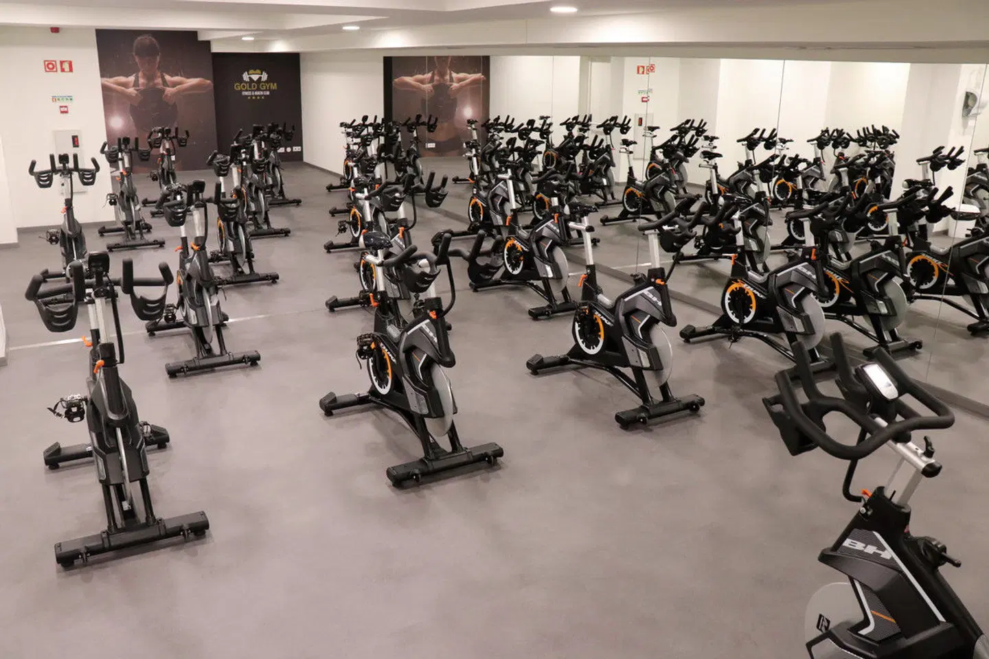 Royal Orchid SPORTS_AND_LEISURE