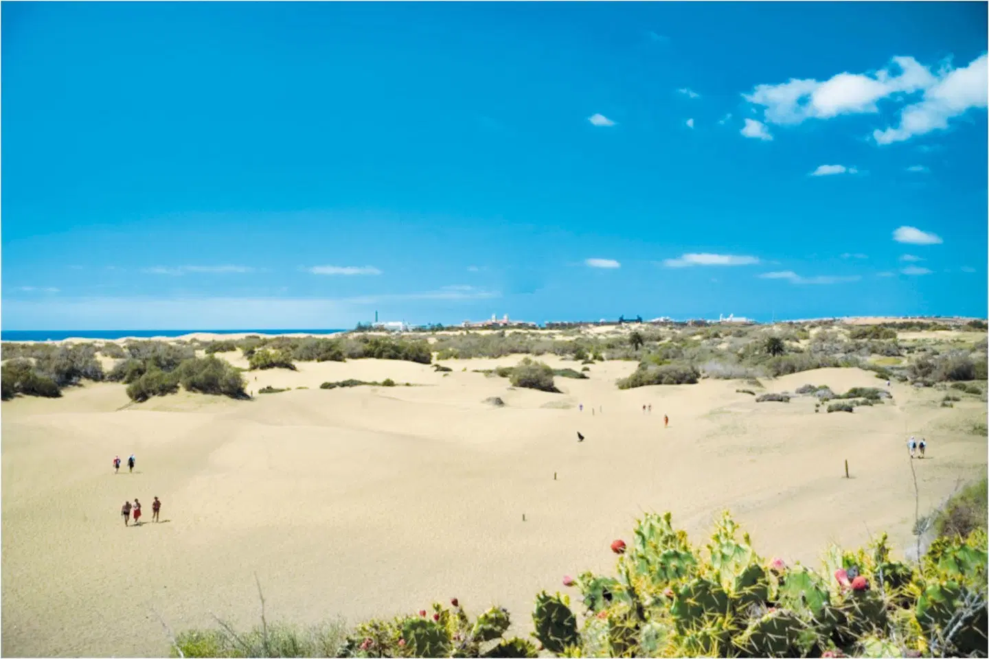 Apartamentos Las Arenas Strand