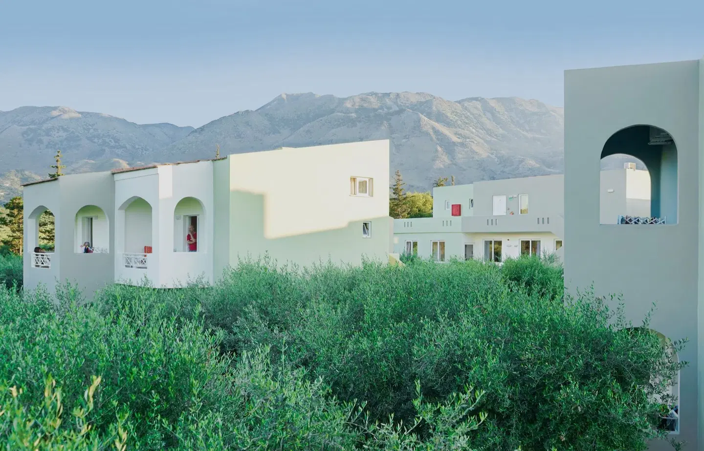 Vardis Olive Garden Garten