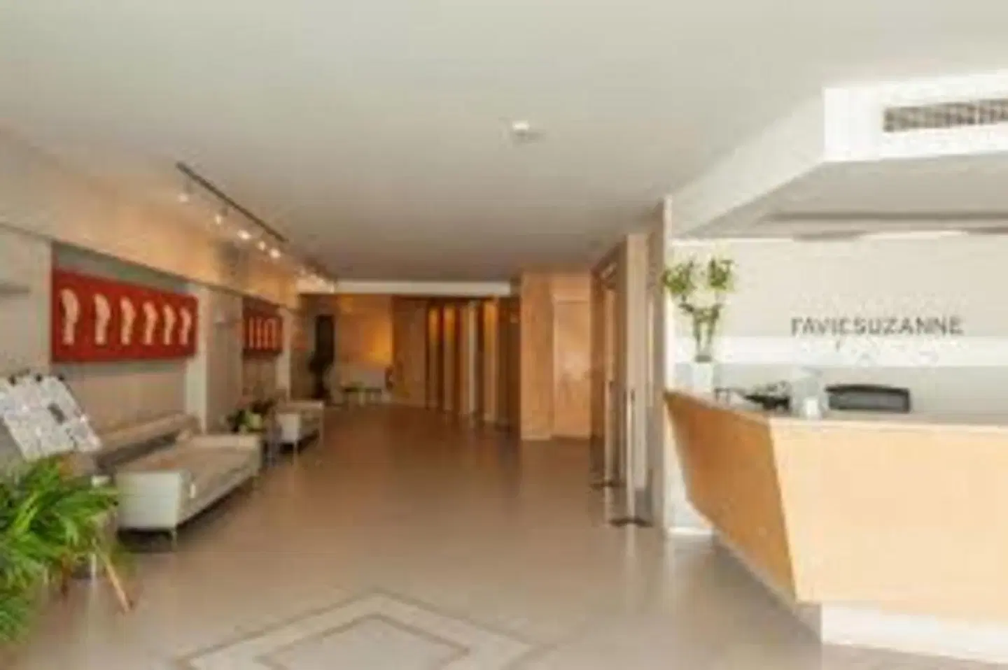 Favie Suzanne Hotel LOUNGE_LOBBY