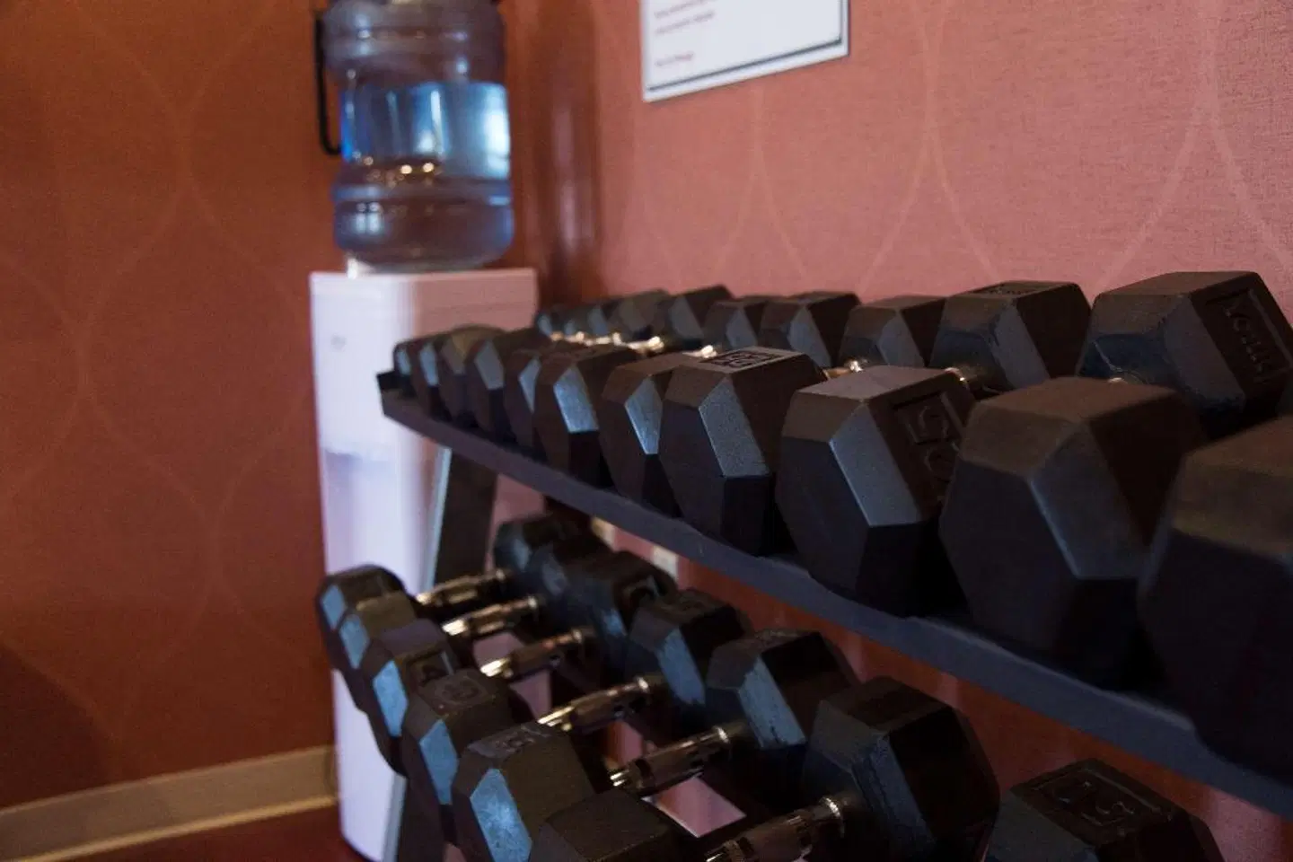 Best Western Plus Fredericton Hotel & Suites Konferenz