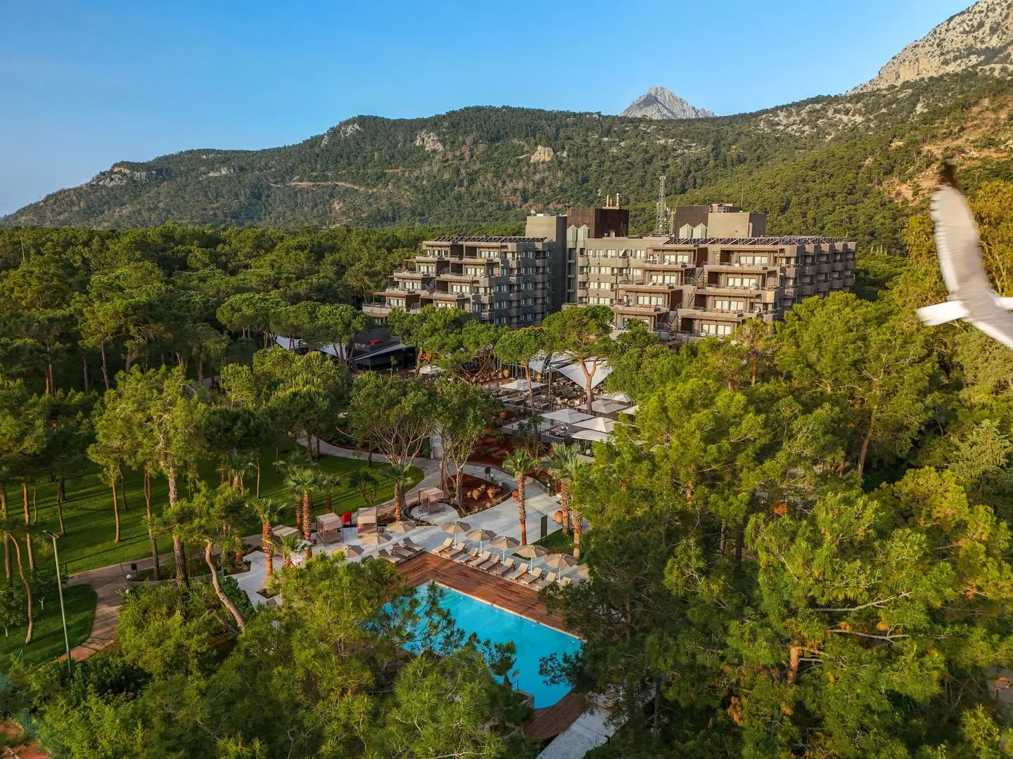 Balmy Foresta LANDSCAPE