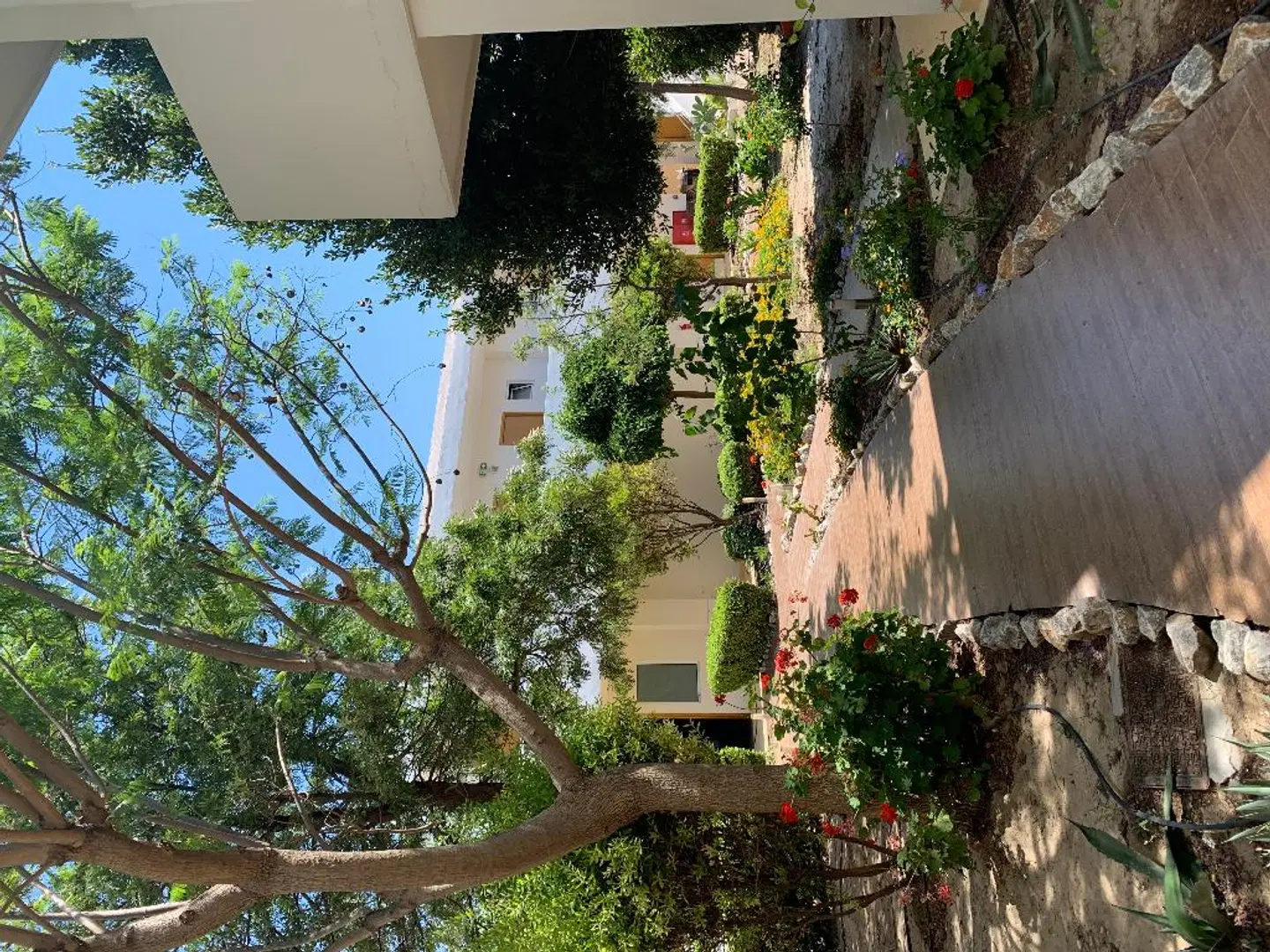 Anavadia Hotel Garten