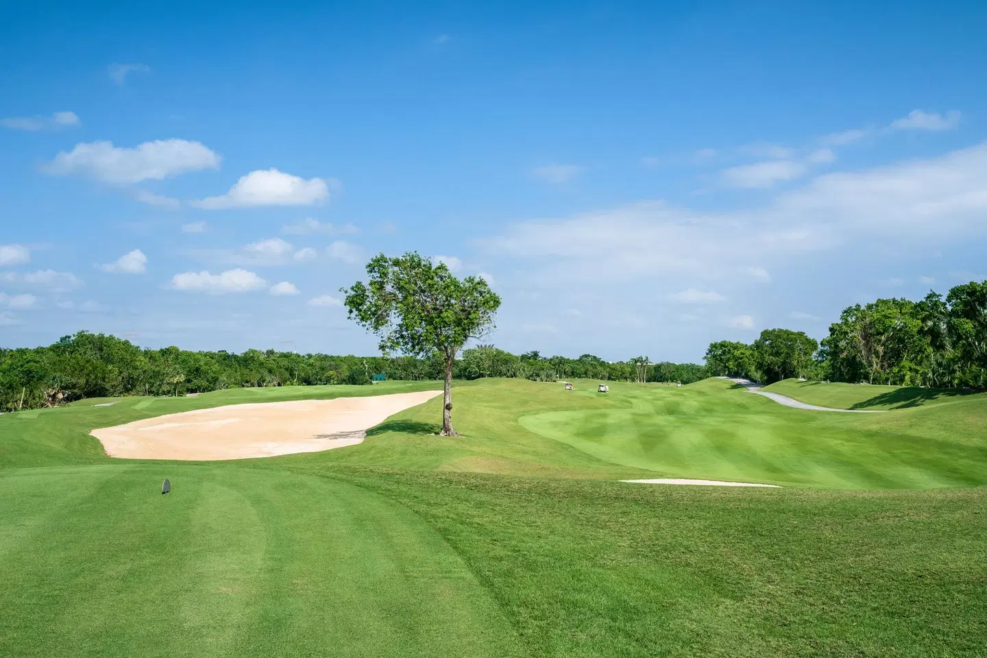 Iberostar Selection Paraíso Maya Suites SPORTS_AND_LEISURE