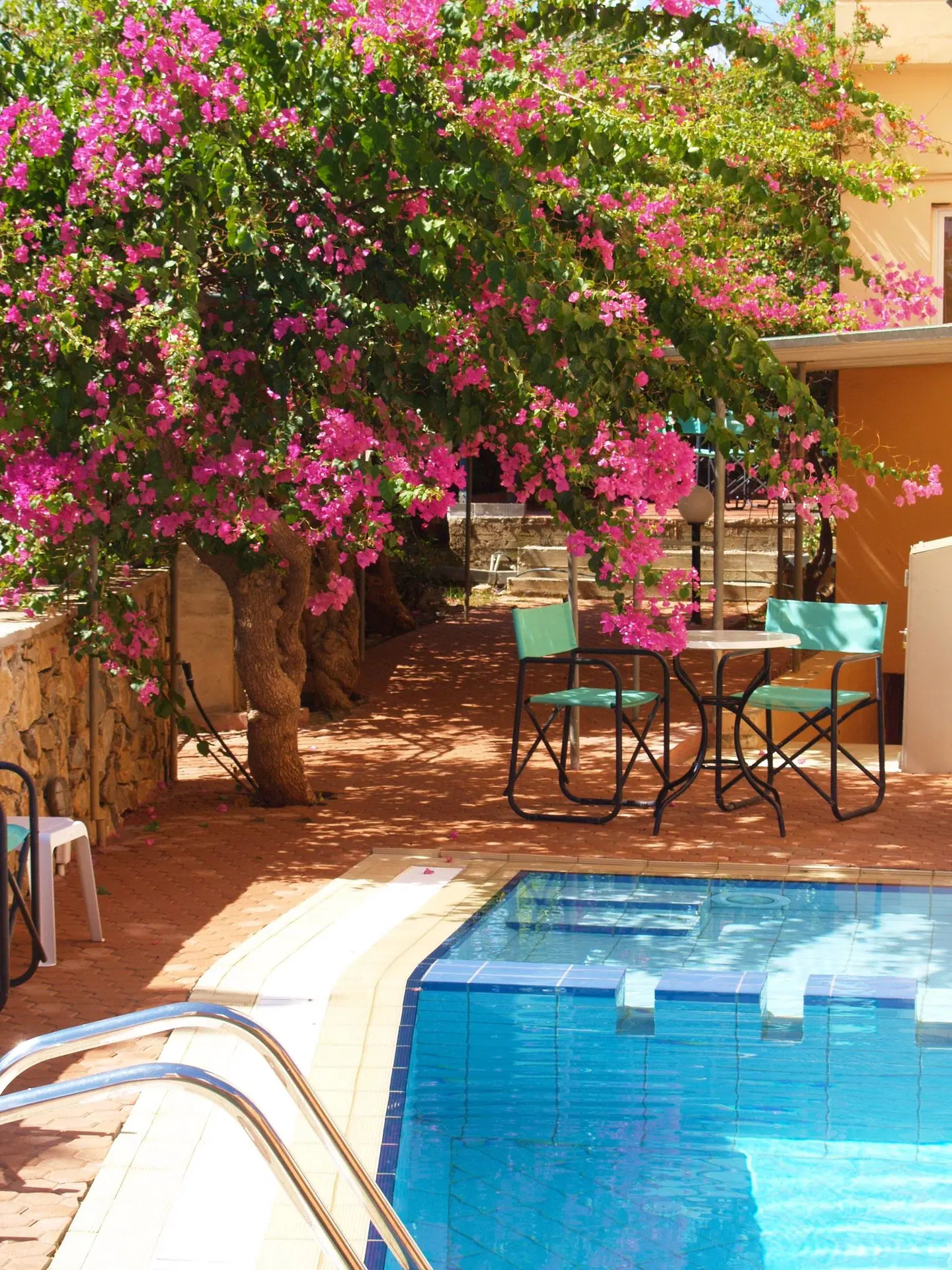 Elotia Hotel OUTDOOR_POOL