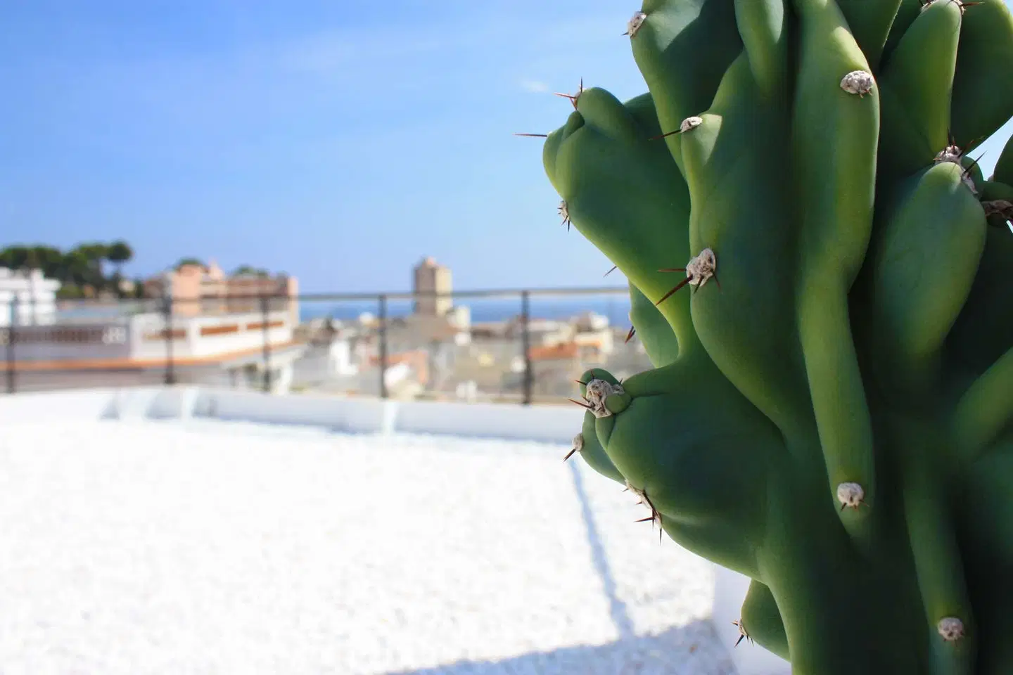 ALEGRIA Plaza Paris Strand