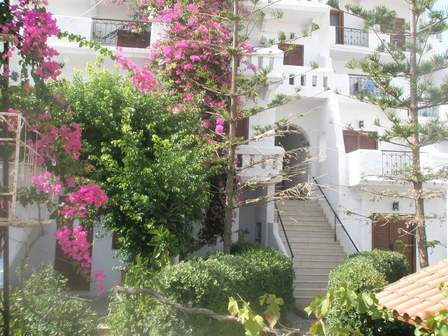 Adonis Hotel EXTERIOR