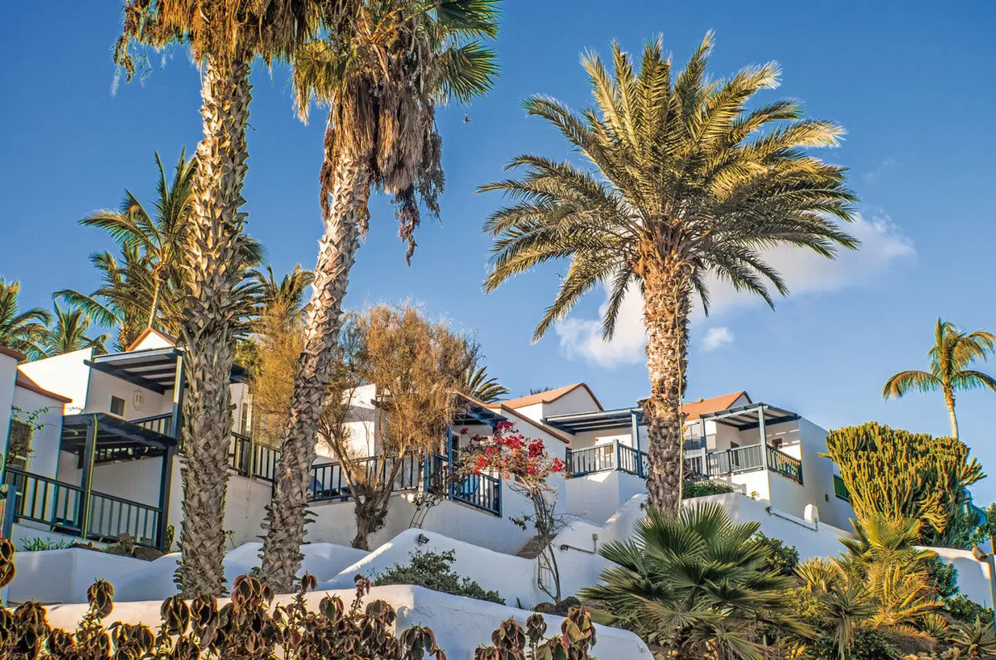 Aldiana Club Fuerteventura Garten