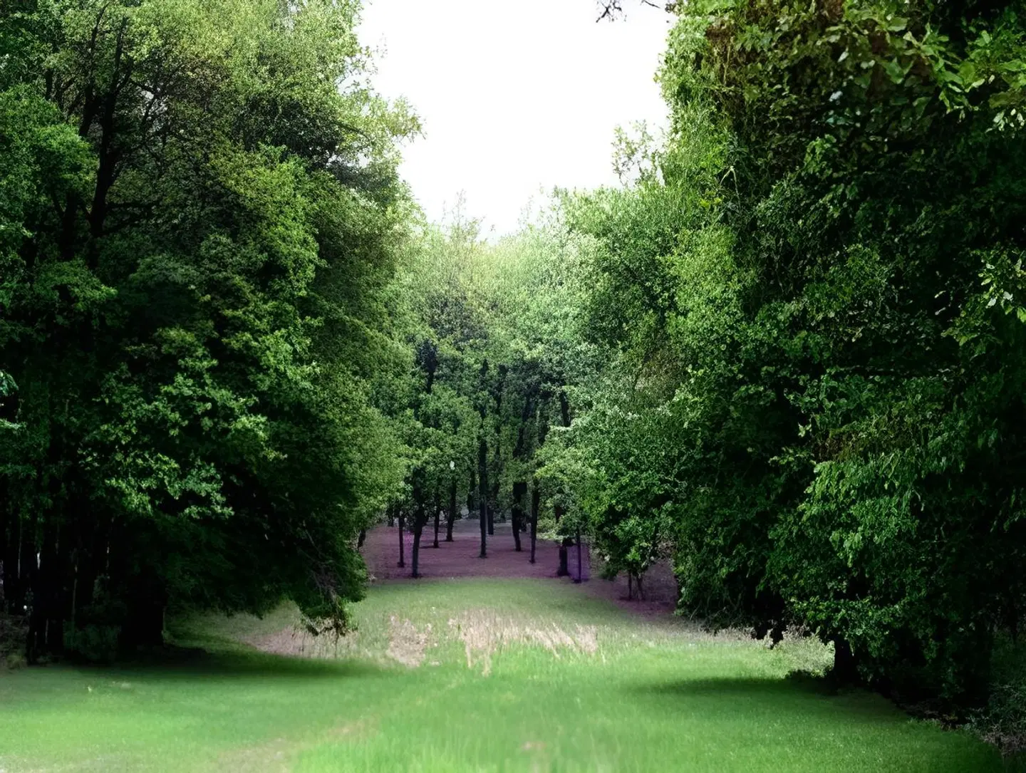 Europa Hotel, Ancient Olympia Garten