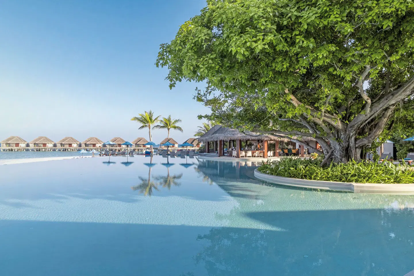 Dusit Thani Maldives OUTDOOR_POOL