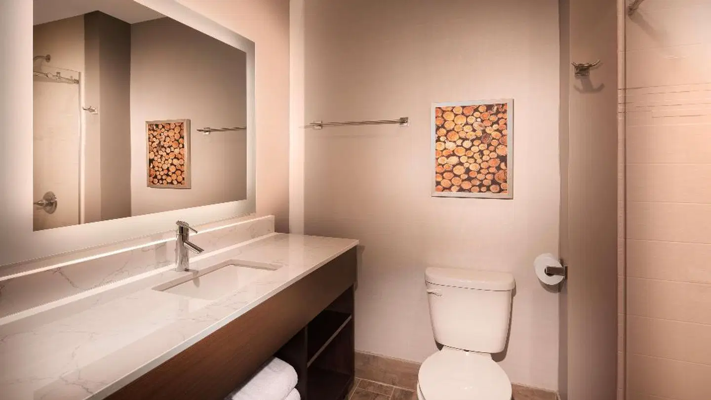 Aiden By Best Western @ Warm Springs Hotel And Event Center Badezimmer