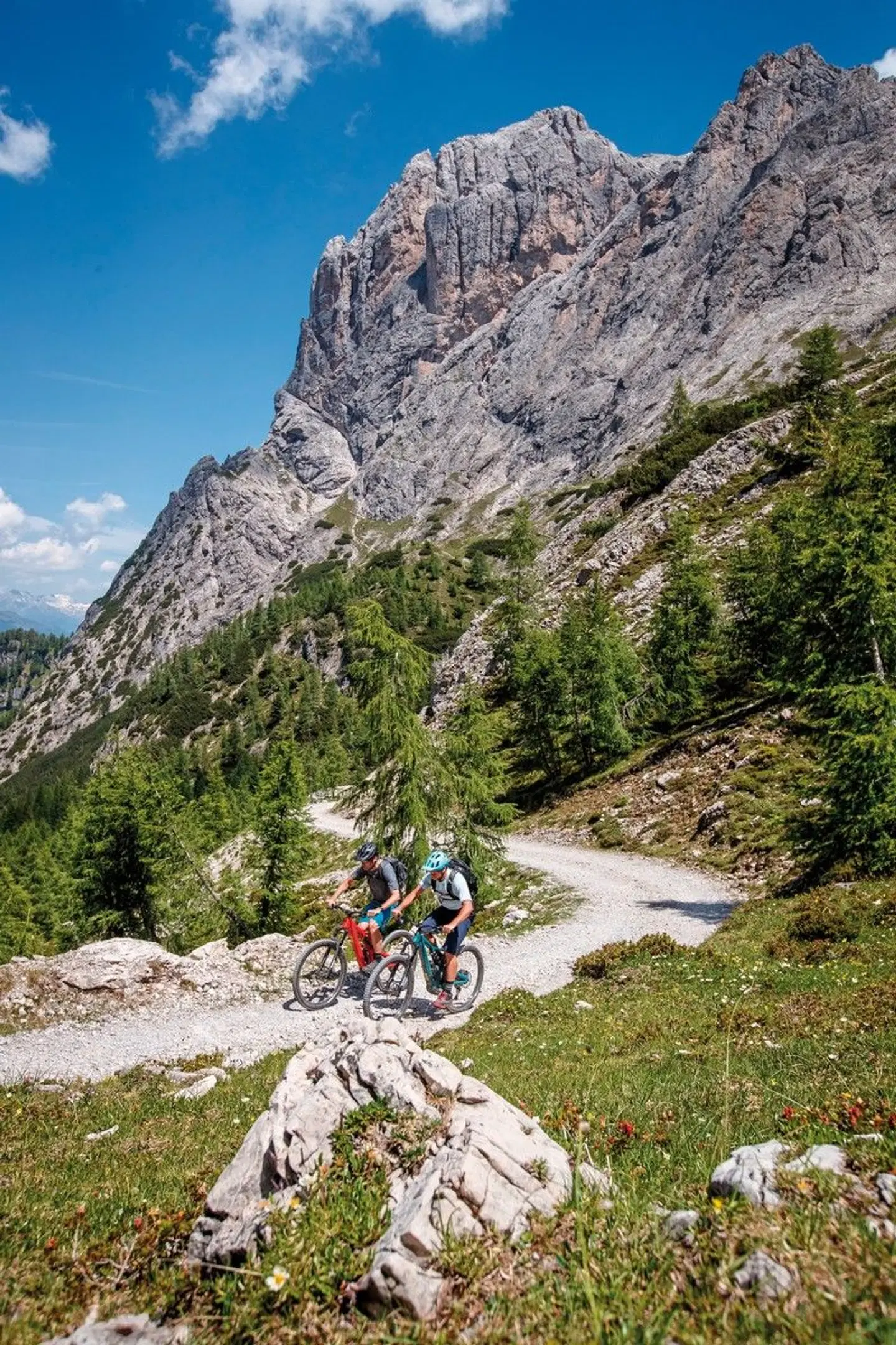 Hotel Goldried LANDSCAPE
