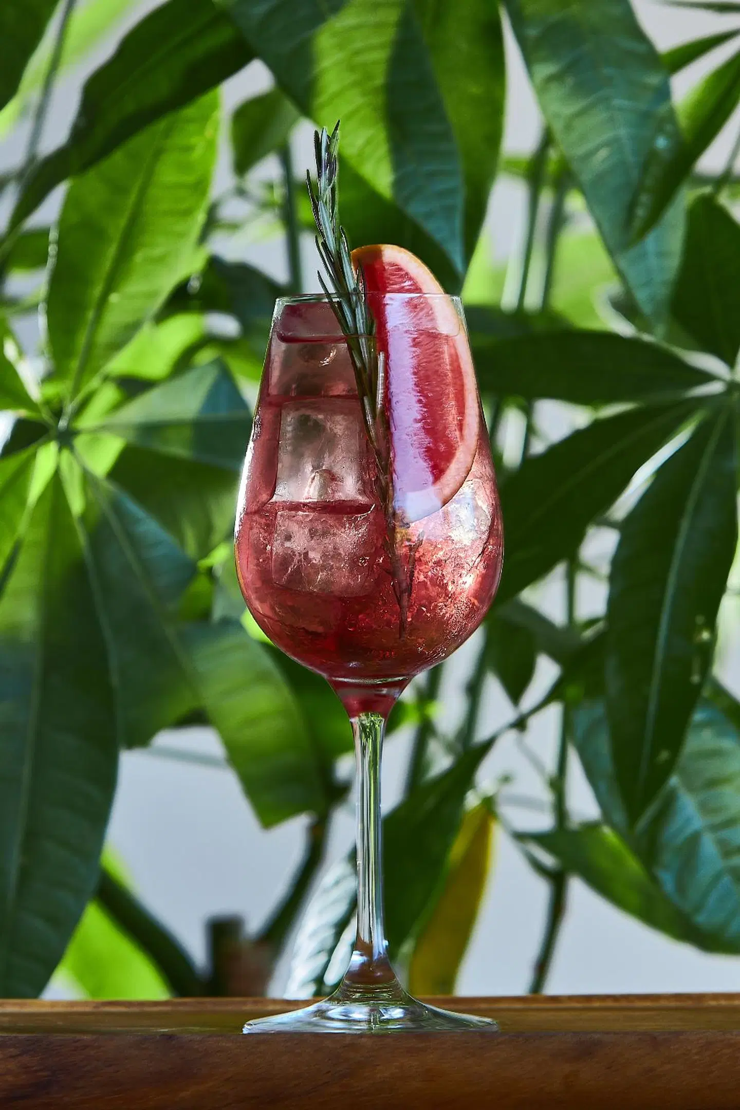 Castello Infinity Suites Tiere