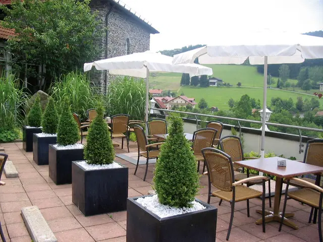 Donna Burghotel am Hohen Bogen Terrasse