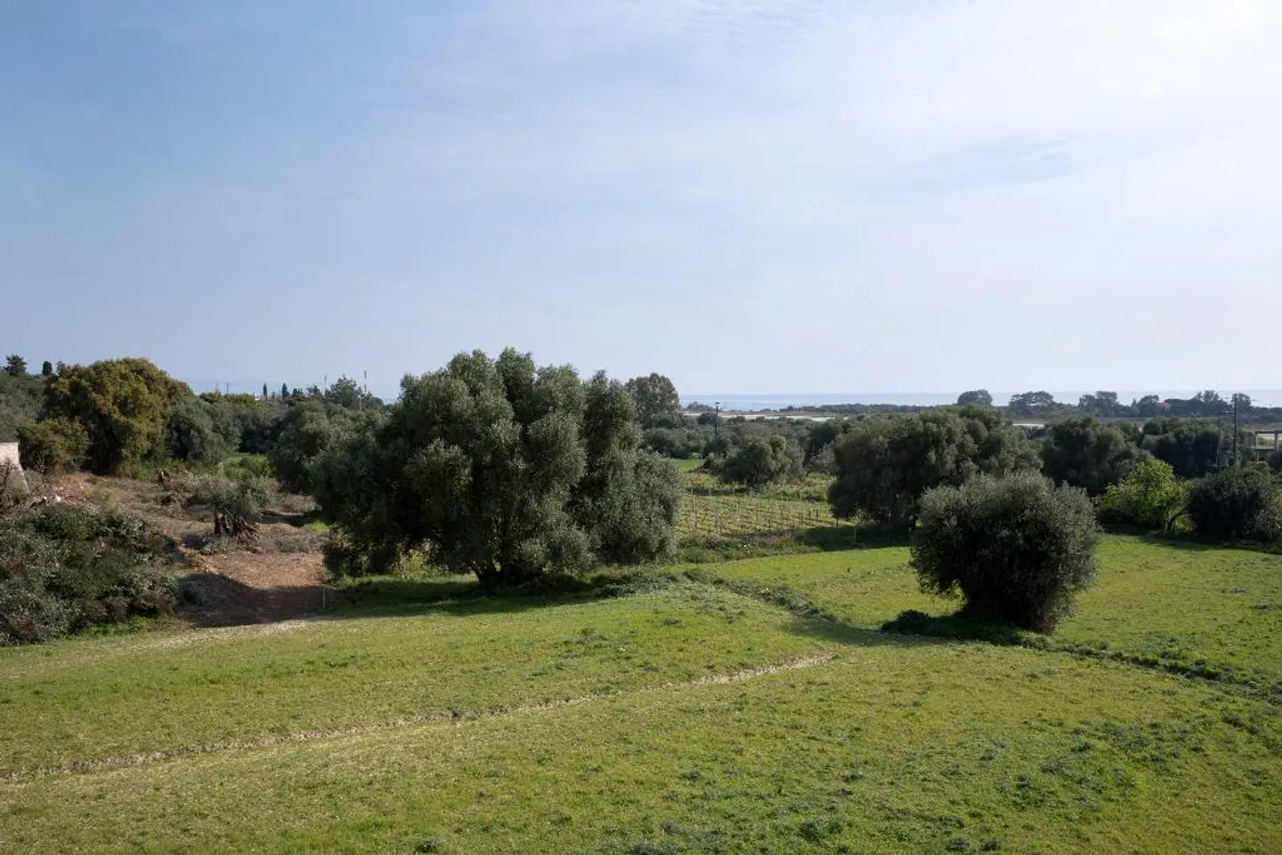 Maggana Residence Garten