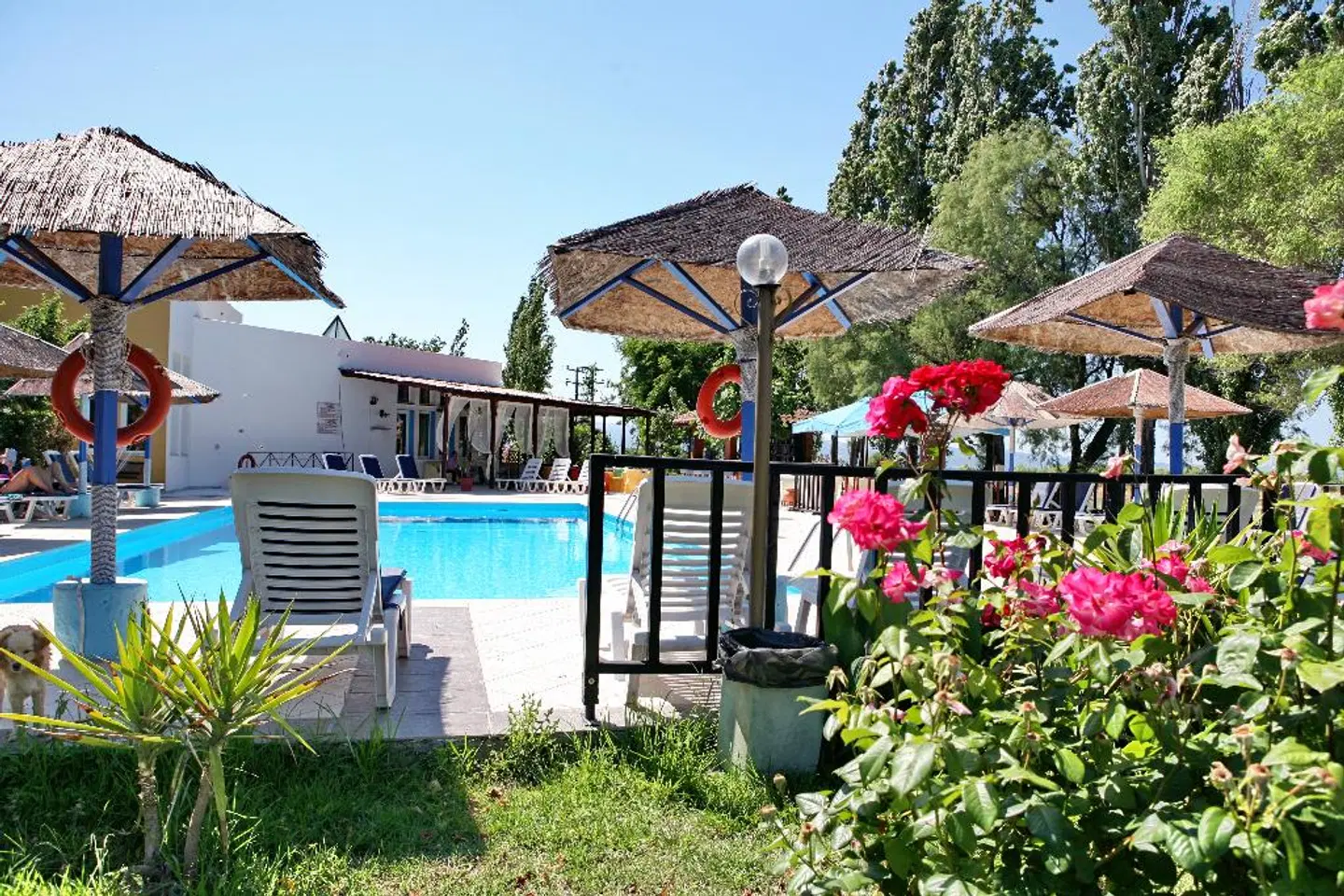 Aegeon Hotel OUTDOOR_POOL