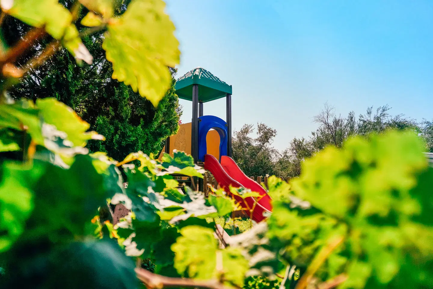 Hotel Apollo Resort Art Garten