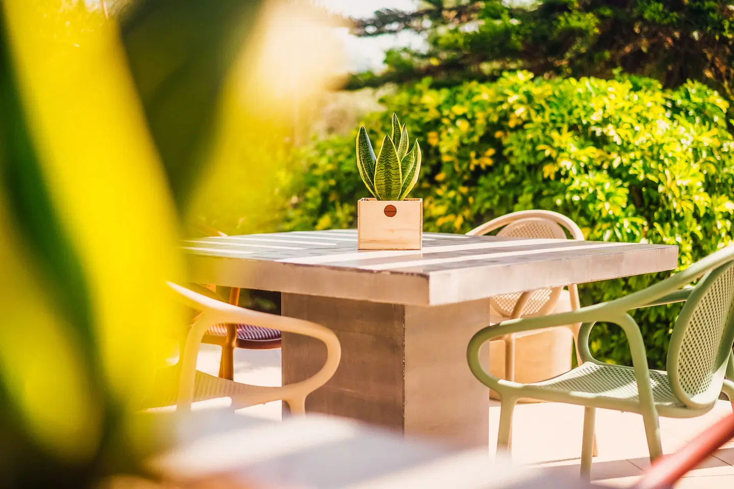 Hotel Apollo Resort Art Terrasse