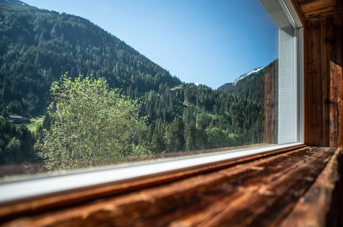 Karl Schranz LANDSCAPE