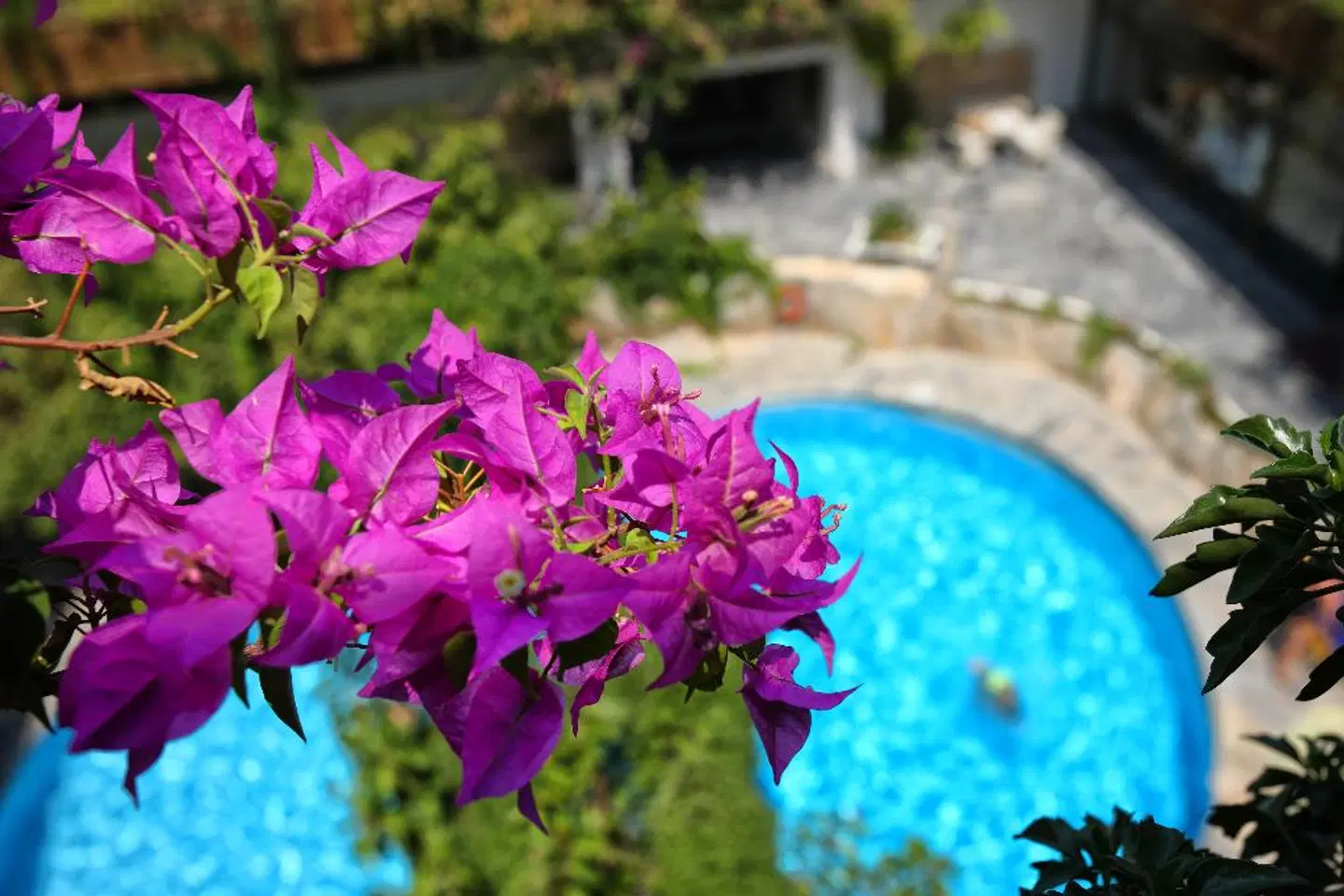 Sitia Beach City Resort & Spa OUTDOOR_POOL