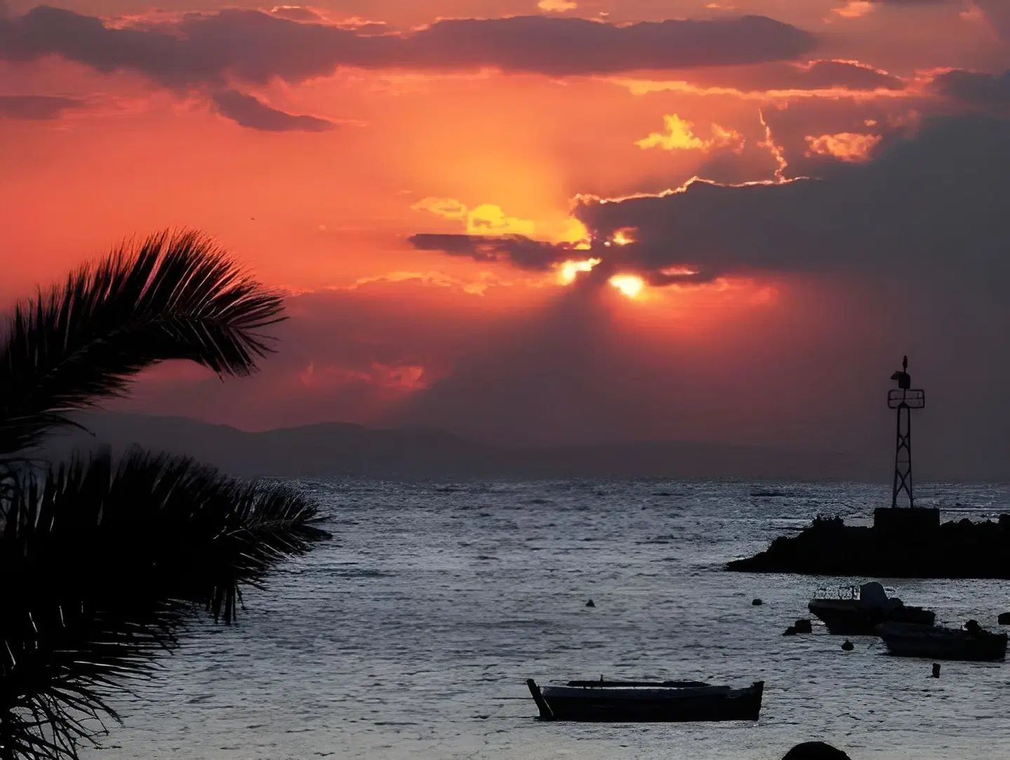 Blue Harmony Hotel LANDSCAPE